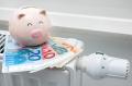 Wires or Money Transfers