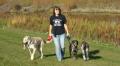 Pack-Walk