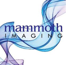 Mammoth Imaging Inc.