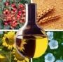 CARRIER OILS - HUILES VÉGÉTALES