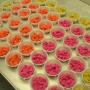 Shrimp Nuggets - now in 4 bright colors! Shrimp Nuggets - now in 4 bright colors!