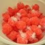 Salmon Bombs Salmon Bombs