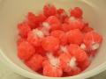 Salmon Bombs
