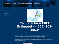 Squeegee Clean Window Cleaning