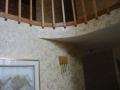 Wallpaper,Wall Covering Installation