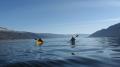 Kayak Tours