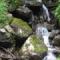 Mossy-Stone
