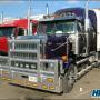 Herd Big Tex for Western Star 4900 Herd Big Tex for Western Star 4900