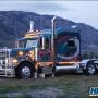 Herd Defender for Peterbilt 378/379 Herd Defender for Peterbilt 378/379