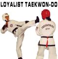 Martial Arts Instruction