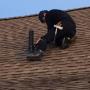 Emergency re roof & repair January Emergency re roof & repair January