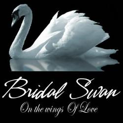 Bridal Swan