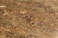 AABA Granite & Marble Inc.