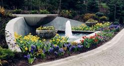 Premier Landscaping and Design