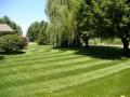 SPRING LAWN MAINTENANCE SPECIAL FROM $99