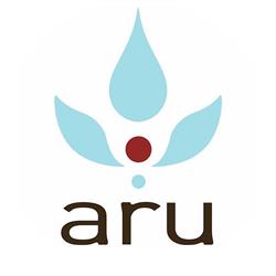 Aru Day Spa & Salon Inc