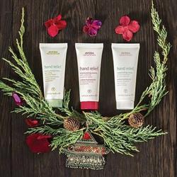 Shampoo Salon Aveda (former Vincenzo Shampoo)