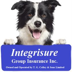 Integrisure Group Insurance Inc
