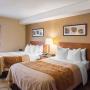 Guest room with two beds Guest room with two beds