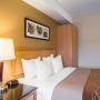 Guest room with queen bed Guest room with queen bed