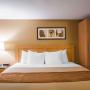 Guest room with one bed Guest room with one bed