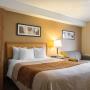Guest room with queen bed Guest room with queen bed