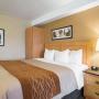 Guest room with king bed Guest room with king bed