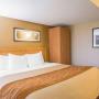 Guest room with king bed Guest room with king bed