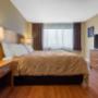 King suite King suite