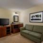 1 Bedroom Suite Living Room 1 Bedroom Suite Living Room
