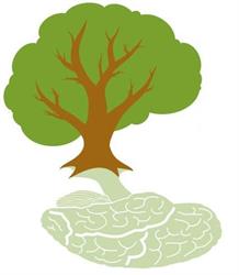 Evolution Psychology Center