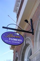 Blooms Flowers