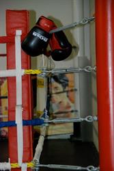 Nexus Martial Arts Studio
