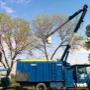 Les travaux d'élagage représentent une des spécialités de CCS horticole. Nos experts ciblent les arbres et enlèvent les branches affaiblies ou malades qui sont potentiellement nuisibles ou dangereuses. Les travaux d'élagage représentent une des spécialités de CCS horticole. Nos experts ciblent les arbres et enlèvent les branches affaiblies ou malades qui sont potentiellement nuisibles ou dangereuses.