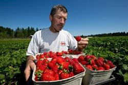 Dan S Farm & Country Market