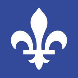 The Nazareth And Louis-Braille Institute