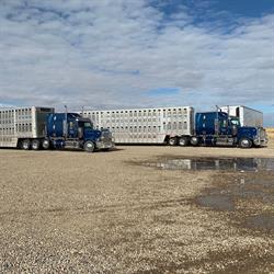 Gateway Carriers Ltd.