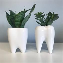 Sydney Family Dental Centre