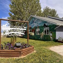 Edson Veterinary Clinic