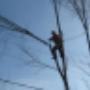 Hydro Line Cleaning Hydro Line Cleaning