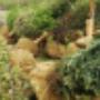 Planting Planting