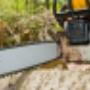 Tree Removal Services Tree Removal Services