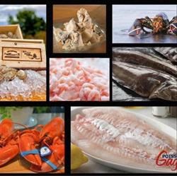 Poissonnerie Gagnon Inc