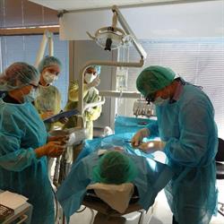 Wall Centre Dental