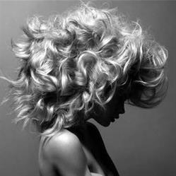 Hair Loft