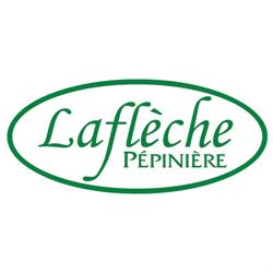 Lafleche Pepiniere Inc