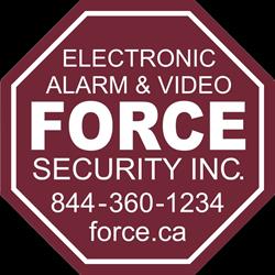 Force Security Inc