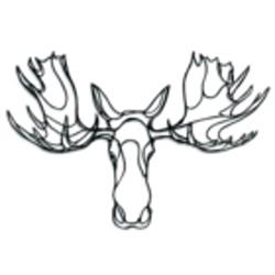Moose Country Service