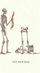 Muscle Mechanics