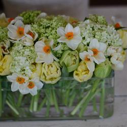 Quince Fine Florals